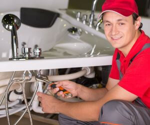 About Emergency plumbing pros Wolverine, MI
